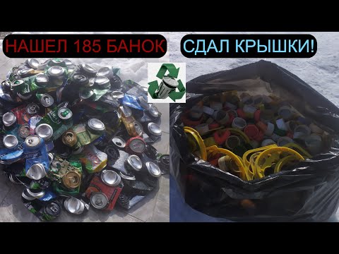 Видео: СДАЮ КРЫШКИ ОТ ПЭТ! НАШЕЛ 185 АЛЮМ БАНОК! ПОИСК МЕТАЛЛОЛОМА! ПРОВОДА!