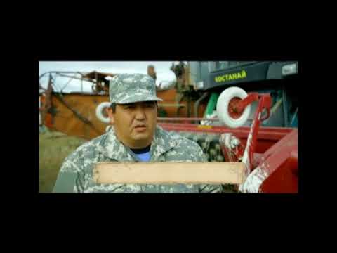 Видео: "Процветай, Таскала!" (25.10.2017)