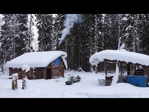 Видео: Четыре дня в тайге. Лесная изба. Рыбалка на севере. Таёжный быт. Хариус, язь, налим. Зимний лес