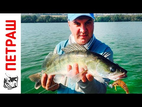 Видео: Ловля СУДАКА летом на Силиконовую приманку Ларва 4 5 дюйма