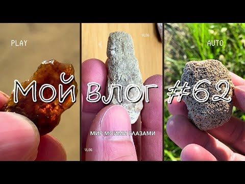 Видео: Время собирать камни. Что ещё можно найти на городском пляже?