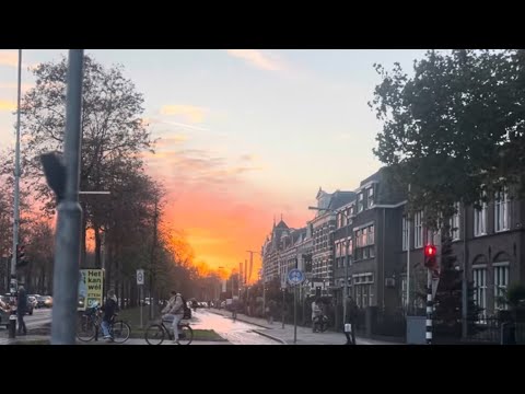 Видео: Короткий визит в Голландию 