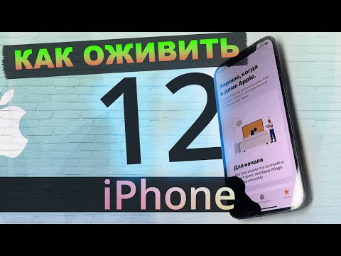 Видео: Как разобрать iPhone 12 📱 Замена корпуса и дисплея (экрана) 🔎 Что скрывает внутри себя 12 iPhone?