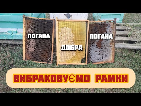 Видео: ✅Як і коли я вибраковую рамки