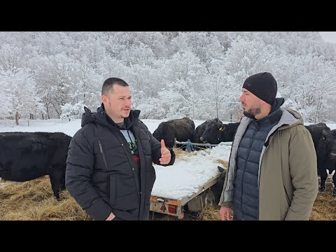 Видео: ❄️ПОДКРЕПА ЗА МЛАДИТЕ ПРЕДПРИЕМАЧИ В БЪЛГАРИЯ‼️🇧🇬