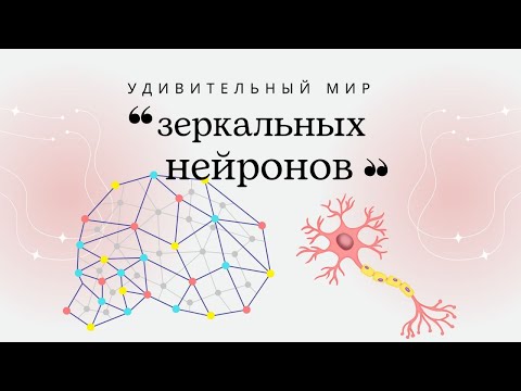 Видео: Удивительный мир ЗЕРКАЛЬНЫХ НЕЙРОНОВ 2 | Раймир