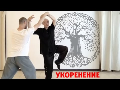Видео: Укоренение