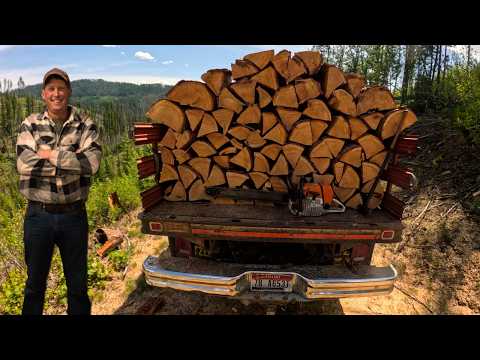 Видео: Горные дрова, куда никто не осмеливается идти (но мы ходим)