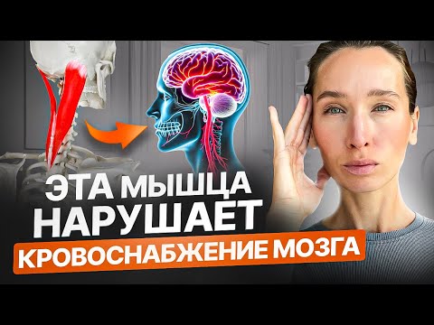 Видео: Нарушение кровоснабжения мозга, боль в шее, шум в ушах и плохая память? Делай ЭТИ упражнения