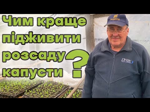 Видео: Чим краще підживити розсаду капусти?