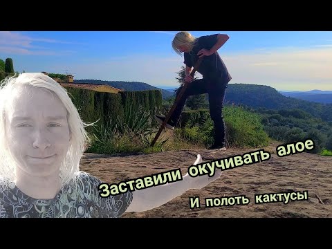Видео: Переехал жить в село