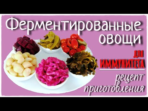 Видео: Ферментированные овощи. Еда для ИММУНИТЕТА. Рецепт приготовления.