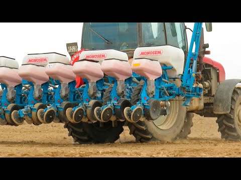 Видео: Удобрение, подготовка почвы и посев / БЕЛАРУС 3022, 1523, 1221 + Gregoire Besson, MONOSEM и др. /