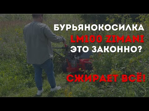 Видео: Монстр, который косит бурьян выше человека - Бурьянокосилка ZimAni LM100