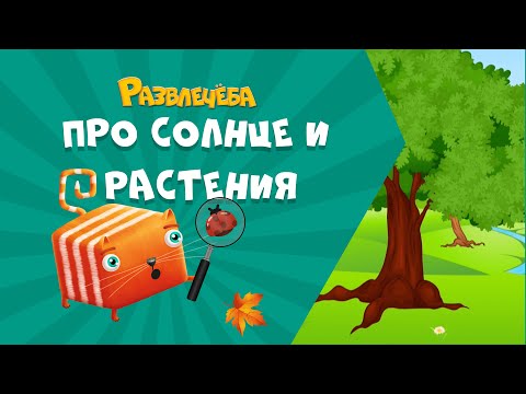 Видео: Развлечёба. Окружающий мир. Про солнце и растения