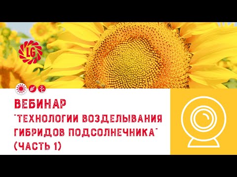 Видео: Вебинар по особенностям технологии возделывания подсолнечника / Часть 1
