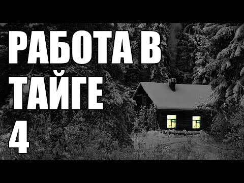 Видео: Страшные истории. Работа в ТАЙГЕ - 4.