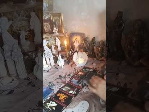 Видео: Какую тайну  недругов нужно знать здесь и сейчас !!!!бумеранг 🪃🪃🪃!!!