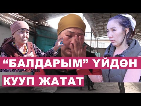 Видео: Күндөшүмдүн балдары үйүмдү талашып жатат деген аял АДИЛЕТТИК издейт. Көчөгө чыгарсы кайда барам?