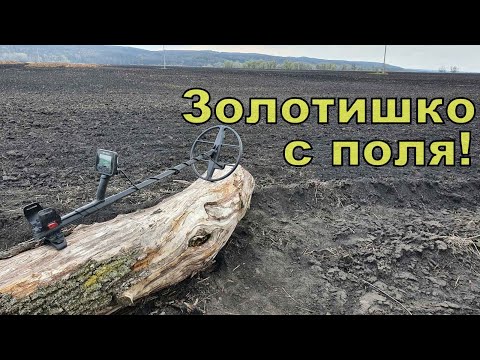 Видео: Золото с распаханного хутора! Коп с NOKTA Anfibio Multi! Фильм 138