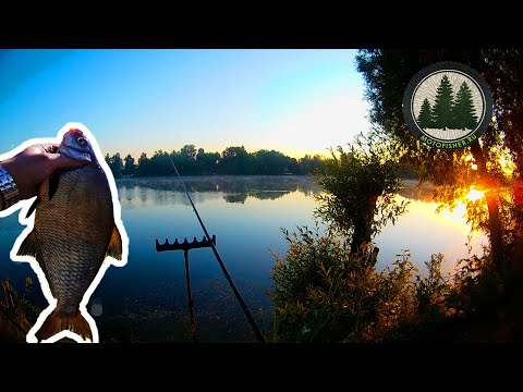 Видео: Рыбалка на Москве-реке. Ловля леща на фидер. | Bream fishing on the feeder.