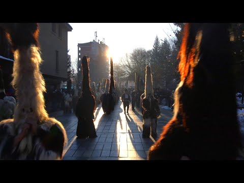 Видео: (Ancient Bulgarian Tradition)     Старчевата 2025г - Разлог, Крапата маала! Пръв чауш - Крум Пахов