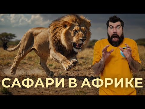 Видео: Сафари в Африке 🌴 Парк Аруша