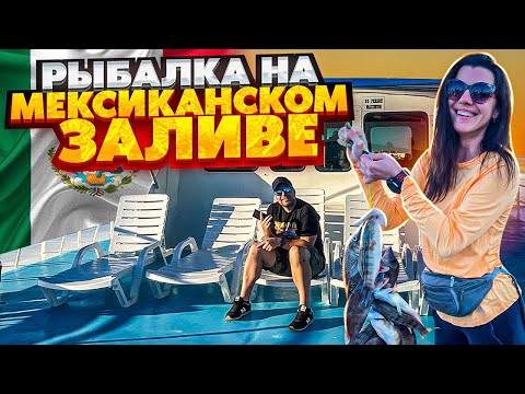 Видео: Рыбалка на Мексиканском заливе