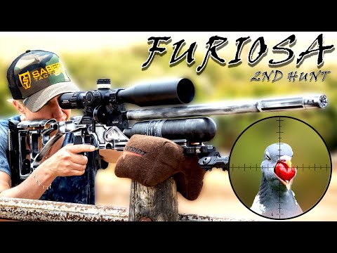 Видео: Фуриоса | 2-я охота | Бонус: отслеживание пуль на больших дистанциях | FX Crown MkII | Борьба с в...