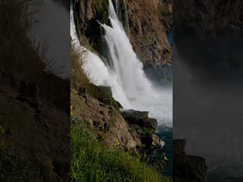 Видео: Господь Ты Пастырь мой...