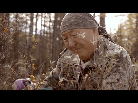 Видео: ЗАБЫТЫЕ Миром: Жизнь в Бурятской Деревне. Фильм: Живут же люди