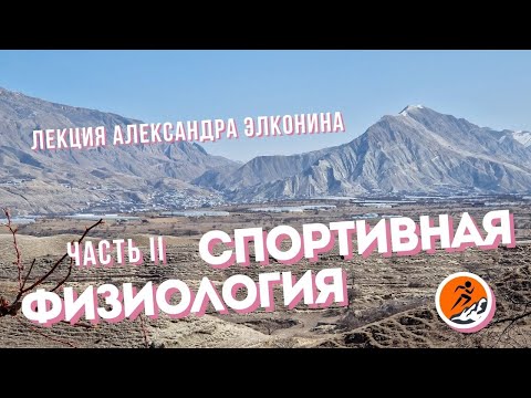 Видео: Спортивная физиология | вторая часть | Лекция Александра Элконина [22.03.2022]