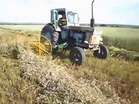 Видео: Грабли  ГВК-6 в работе