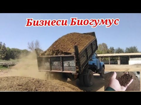 Видео: Бизнеси Биогумус