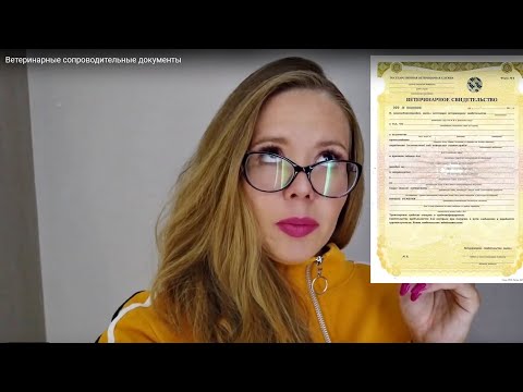 Видео: Ветеринарные сопроводительные документы