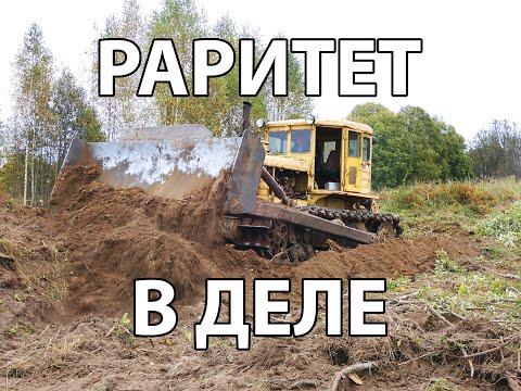 Видео: Бульдозер БАЗ Т-180Г