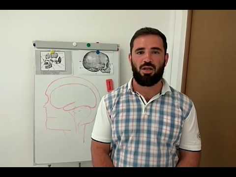 Видео: Отставание детей в развитии. Отставание речи и речевого развития ребенка. Остеопатия.