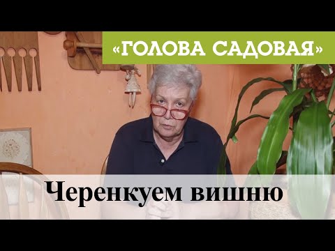 Видео: Голова садовая - Черенкуем вишню