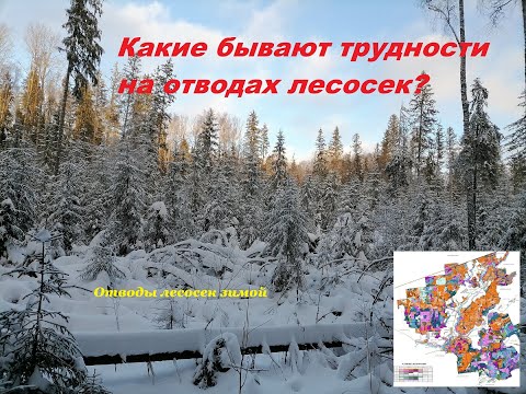 Видео: С какими трудностями сталкиваются при отводах в зимний период_Проблемы отвода зимой