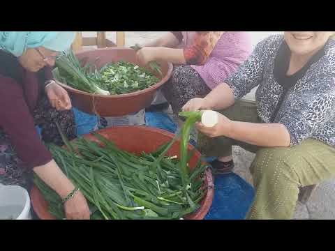 Видео: Заготовка лука порея на зиму турецкими хозяйками. 18.05.2022.Орду. Турция.Карадэниз.