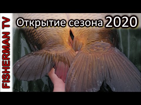 Видео: Открытие сезона 2020 (Ловля на тигровый орех)