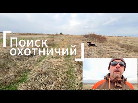Видео: Основа все вида поиск - охотничий поиск…