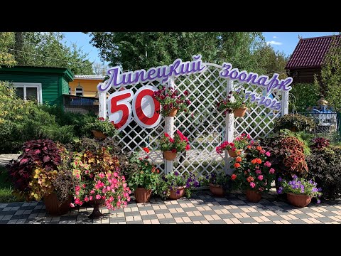 Видео: Липецкий Зоопарк, г. Липецк