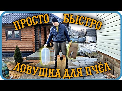 Видео: УЛОВИСТАЯ ЛОВУШКА ДЛЯ ПЧЁЛ 🐝 ПРОСТО, БЫСТРО И ЛЕГКО ⬇️