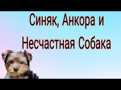 Видео: Синяк, Анкора и бедная Люся