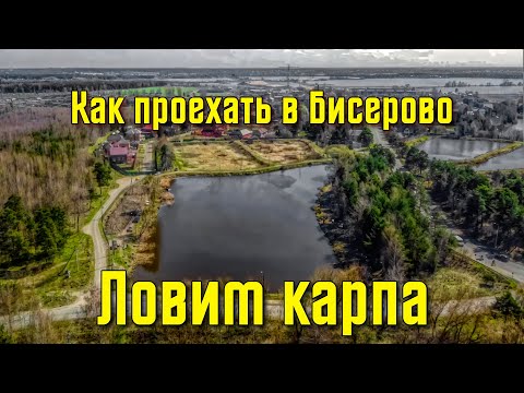 Видео: Как проехать в Бисерово. Ловим карпа на Головном пруду.