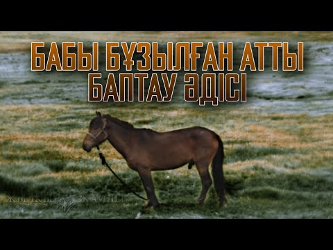 Видео: БАБЫ БҰЗЫЛҒАН АТТЫ ҚАЙТА БАПТАУ ӘДІСІ❗🐎 - Жылқы Жайлы