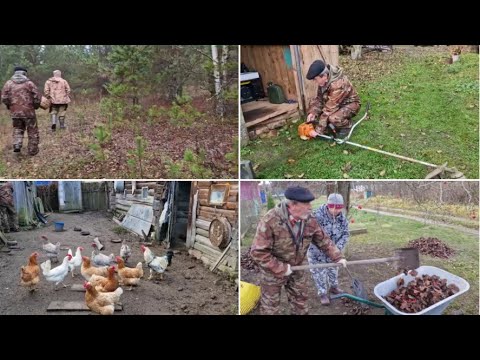 Видео: ЕЗДИЛИ В ЛЕС И НАВЕЛИ ПОРЯДОК ВОЗЛЕ ДВОРА.