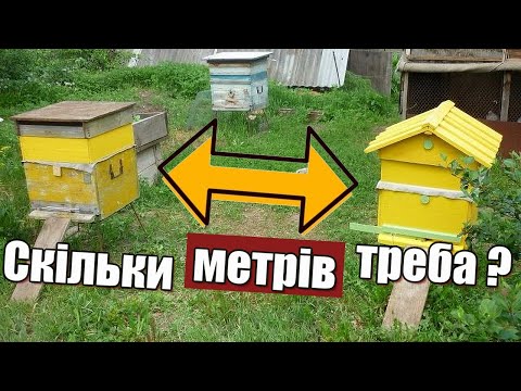 Видео: Як розмістити вулики щоб не було конфліктів з сусідами?