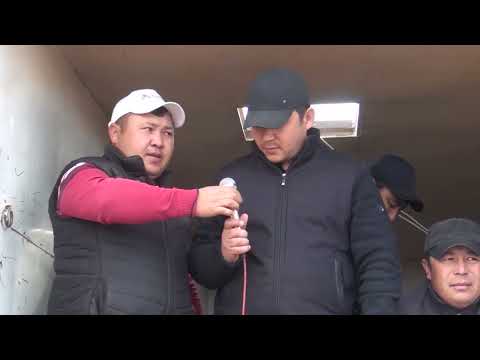 Видео: Кенимех көкпар Саржал ауылы 22-02-2023
